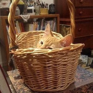 Meet your Posher, Helene